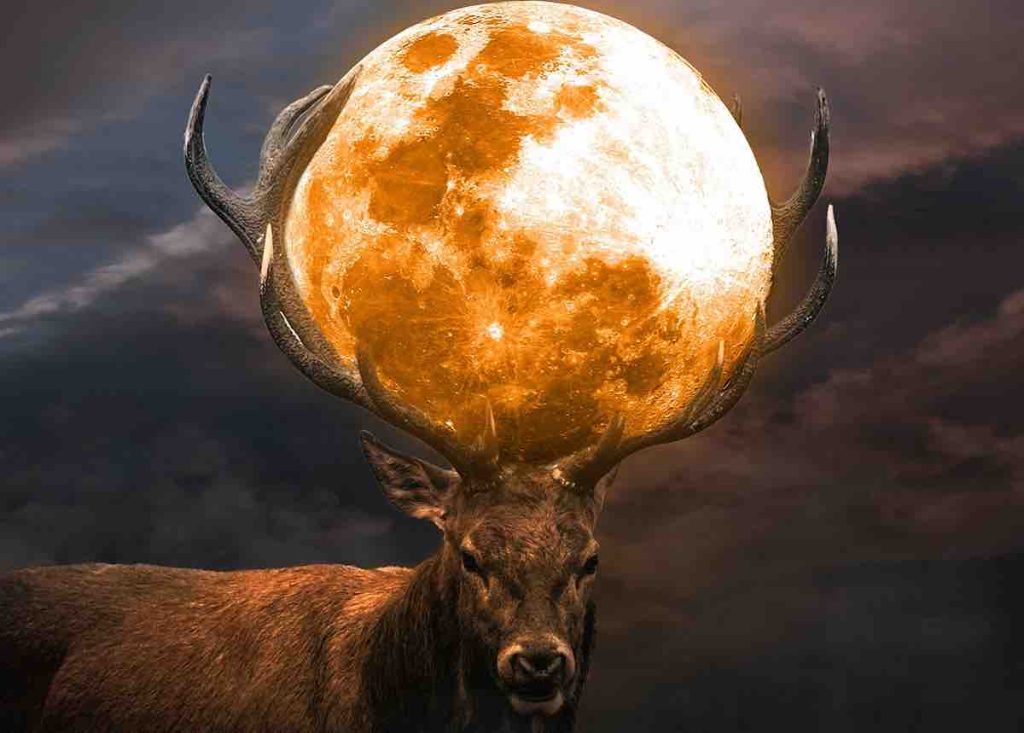 úplněk v listopadu 2023