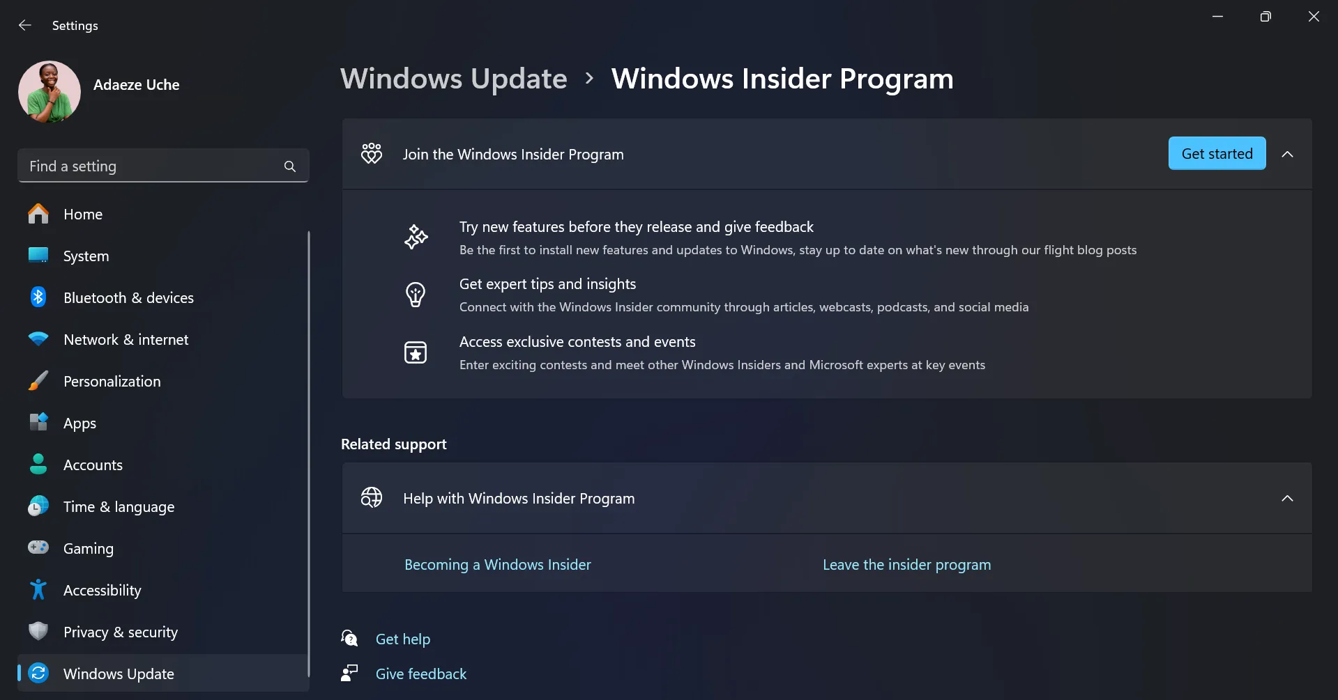 Stránka Windows Insider na nastavení -Appp na systému Control Control Windows 11