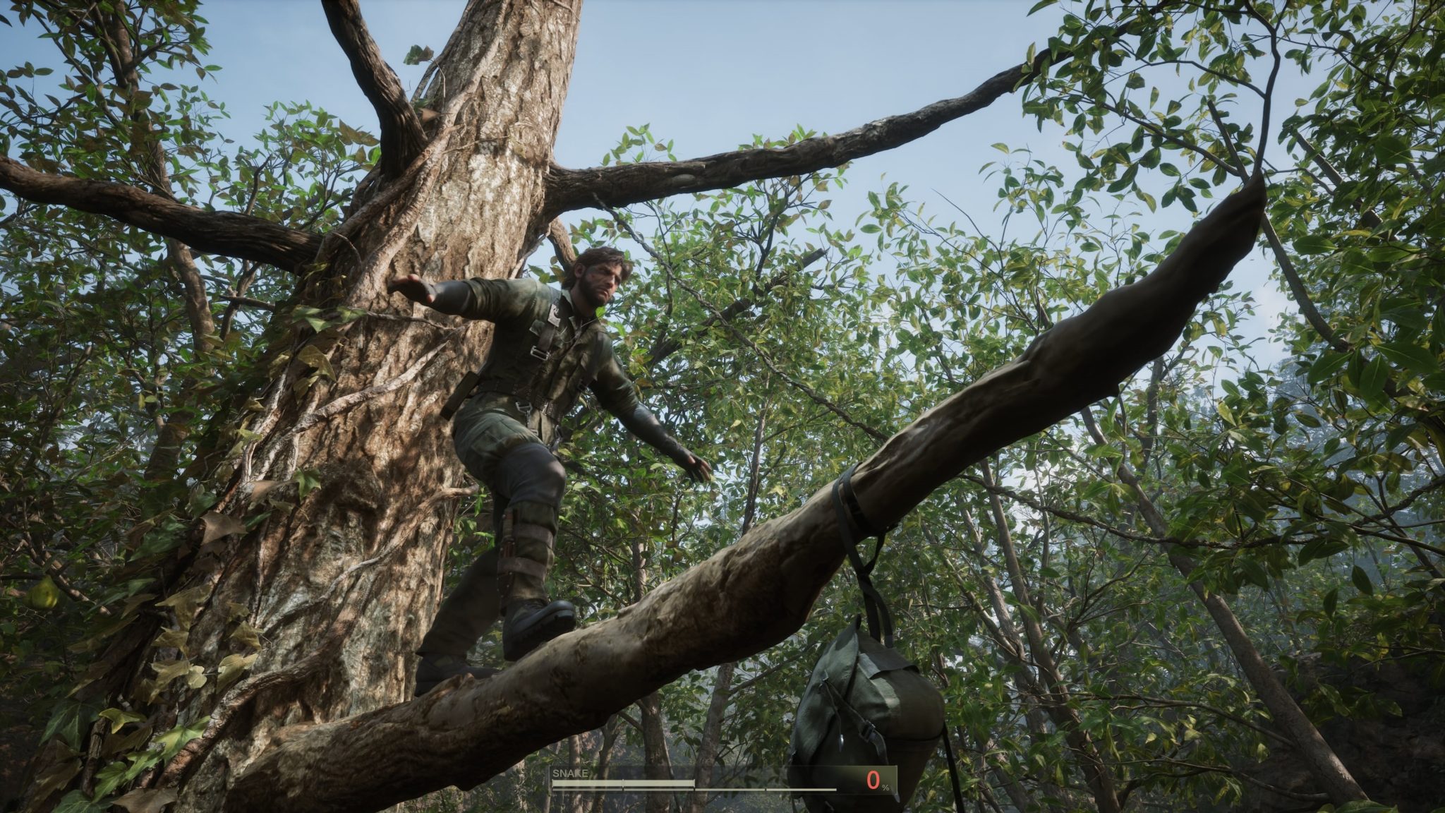 Vyvážení nahé hadice na větvi stromu v kovové ozubené kola Solidní delta: Snake Eater