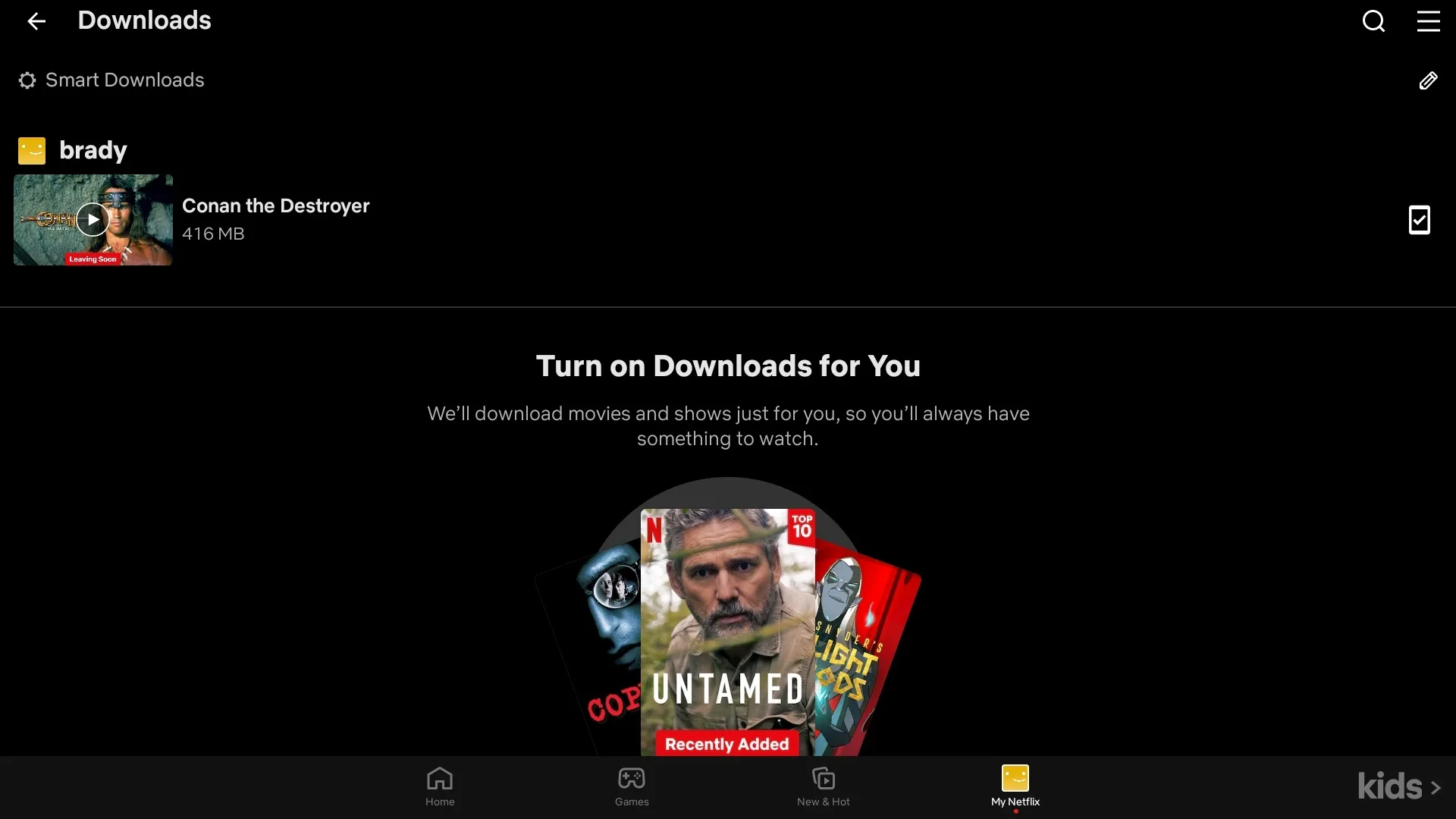 Seznam stažených obsahu na stránce stahování Netflix