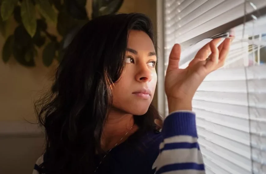 Okna našich soudů: zrcadlo naší nespokojenosti