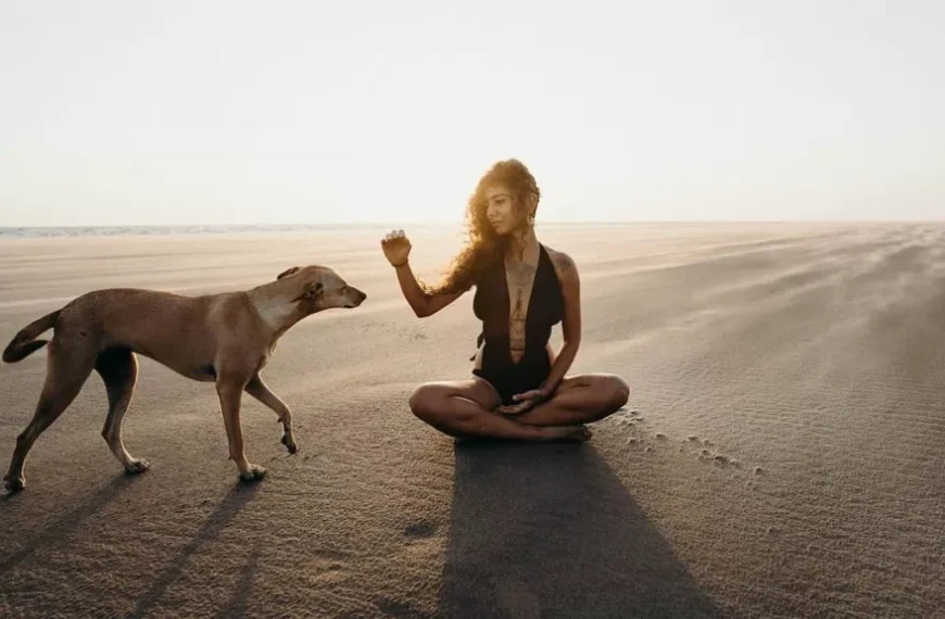 Smlouva, kterou si vaše duše vybrala, podle vašeho znamení zvěrokruhu