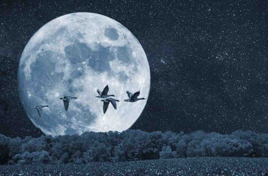 Superúplněk 5. prosince 2025 pomůže uvolnit se 3 znamením zvěrokruhu.