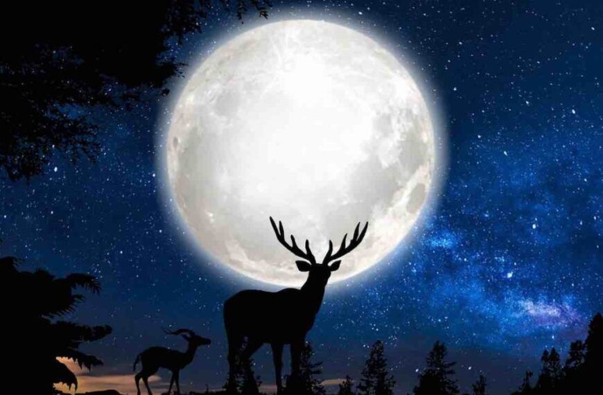 Superúplněk 5. prosince 2025 bude zlomovým bodem v životech 3 znamení zvěrokruhu